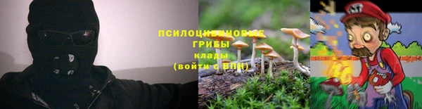 spice Абинск