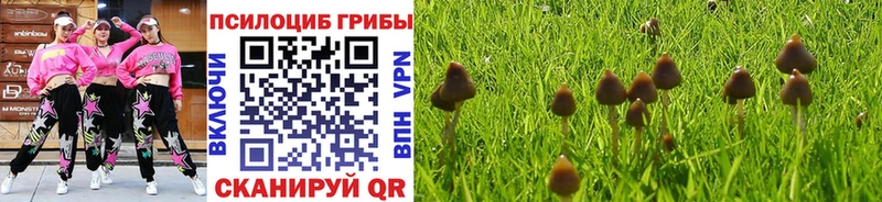 Галлюциногенные грибы GOLDEN TEACHER  наркотики  Бежецк 
